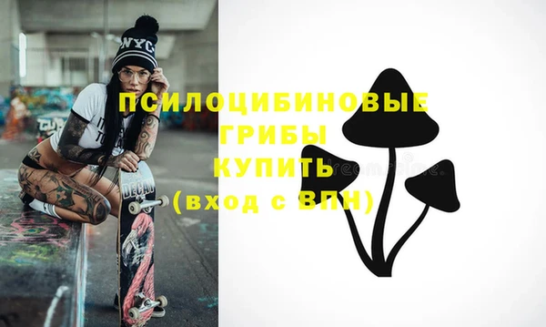 шишки Алексеевка